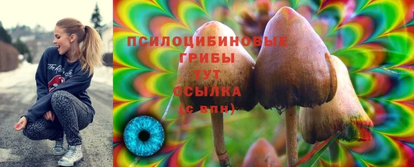 героин Абаза