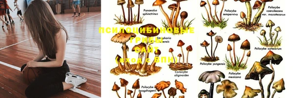 героин Абаза